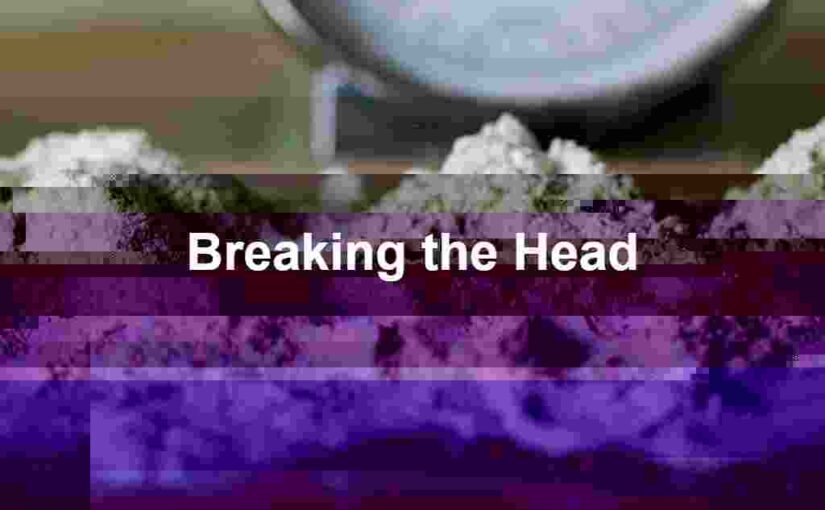 Breaking The Head To Learn Something (Maybe) 1